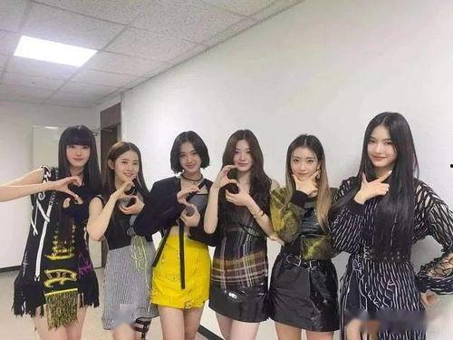 女团最新爆料视频,幕后故事与精彩瞬间大公开